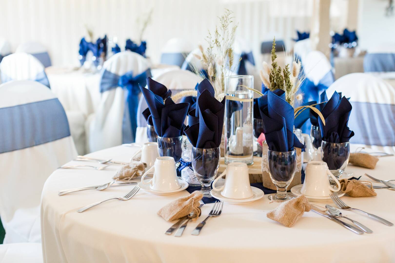 Apex Party Rentals & Services