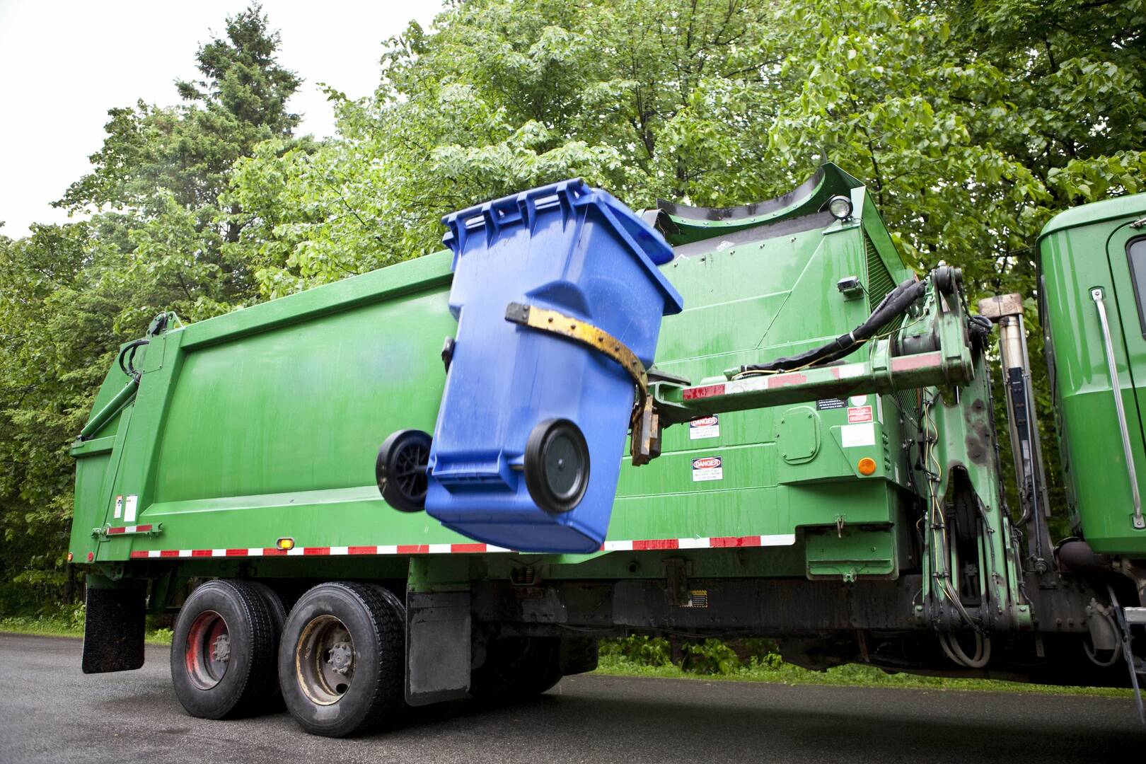 Trash Pandas